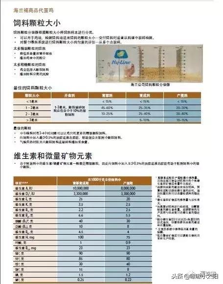 蛋壳是如何形成的？破蛋、软蛋多是咋回事？