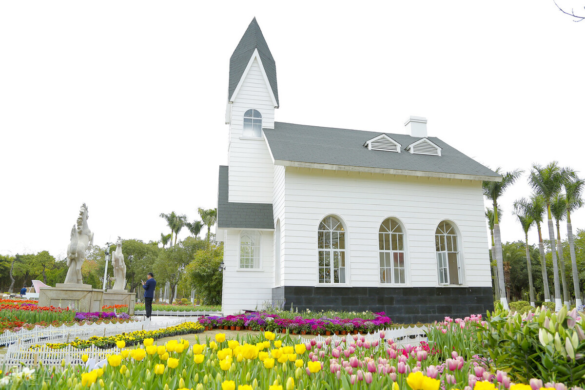 厦门五一旅游攻略景点打卡,厦门旅游必打卡景点