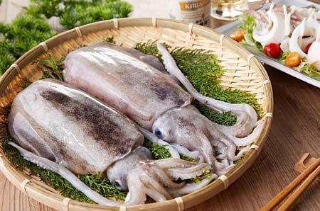 章鱼墨鱼鱿鱼傻傻分不清,你分得清楚章鱼墨鱼鱿鱼吗