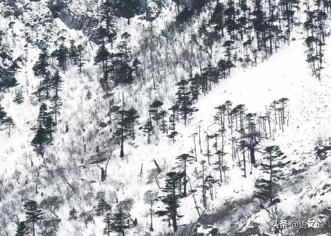 这20位诗人用30首诗词,写尽了冬天的美