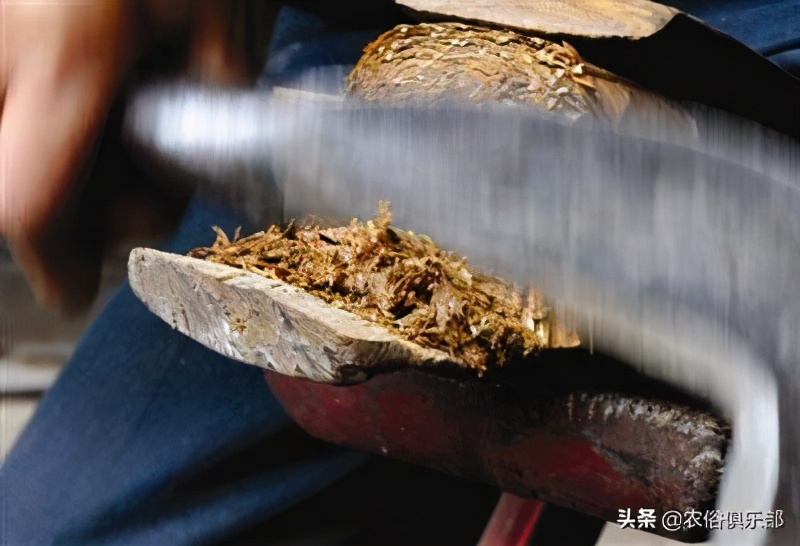 吞了烟袋油的蛇，离死不远！农村人的防蛇妙招，烟油还能解百虫？