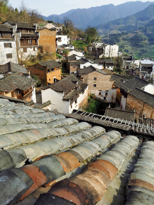 春暖花开我在油菜花田等你,篁岭晒秋我听了风的话
