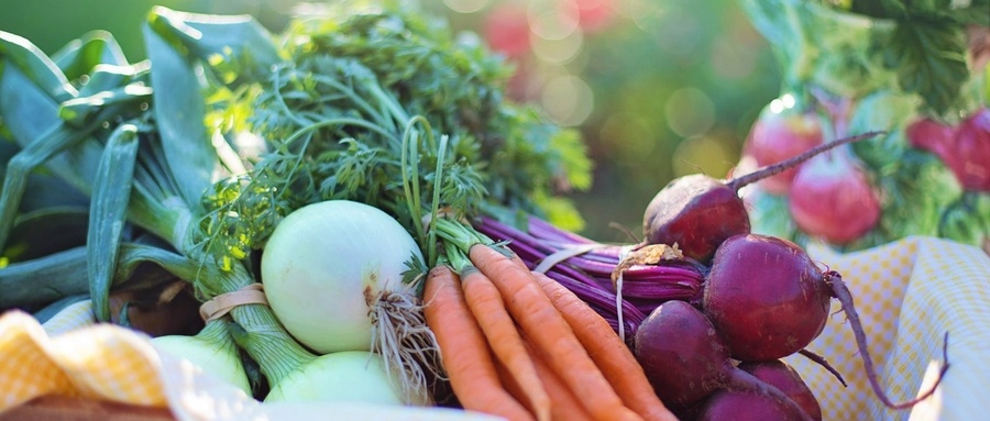 多点发力推动特色农业快速发展,特色农业引领乡村经济快速发展