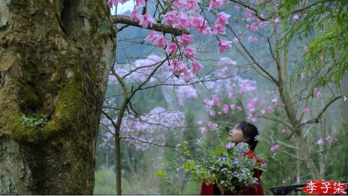 李子柒的鲜花视频,李子柒鲜花宴视频