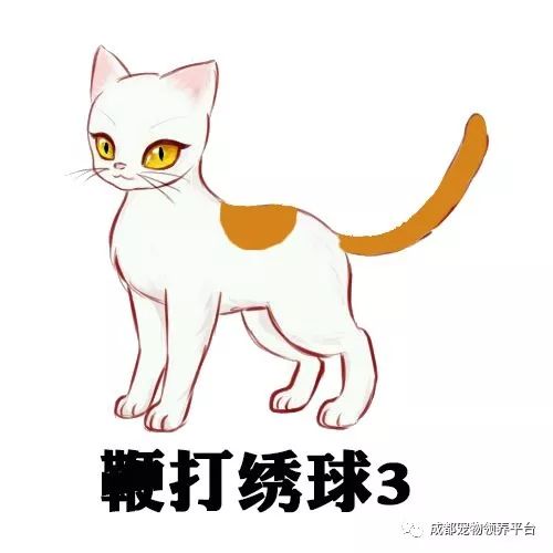 谁说土猫无名猫?快来围观古代猫谱,你家有没有镇宅神兽!
