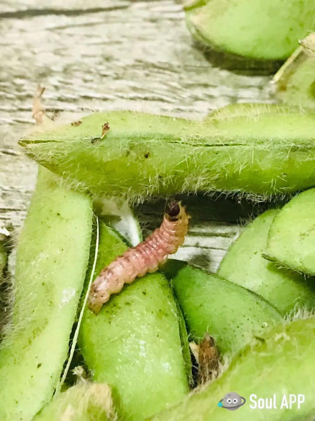 生命的缘分上海视频,生命中的遇见是缘分