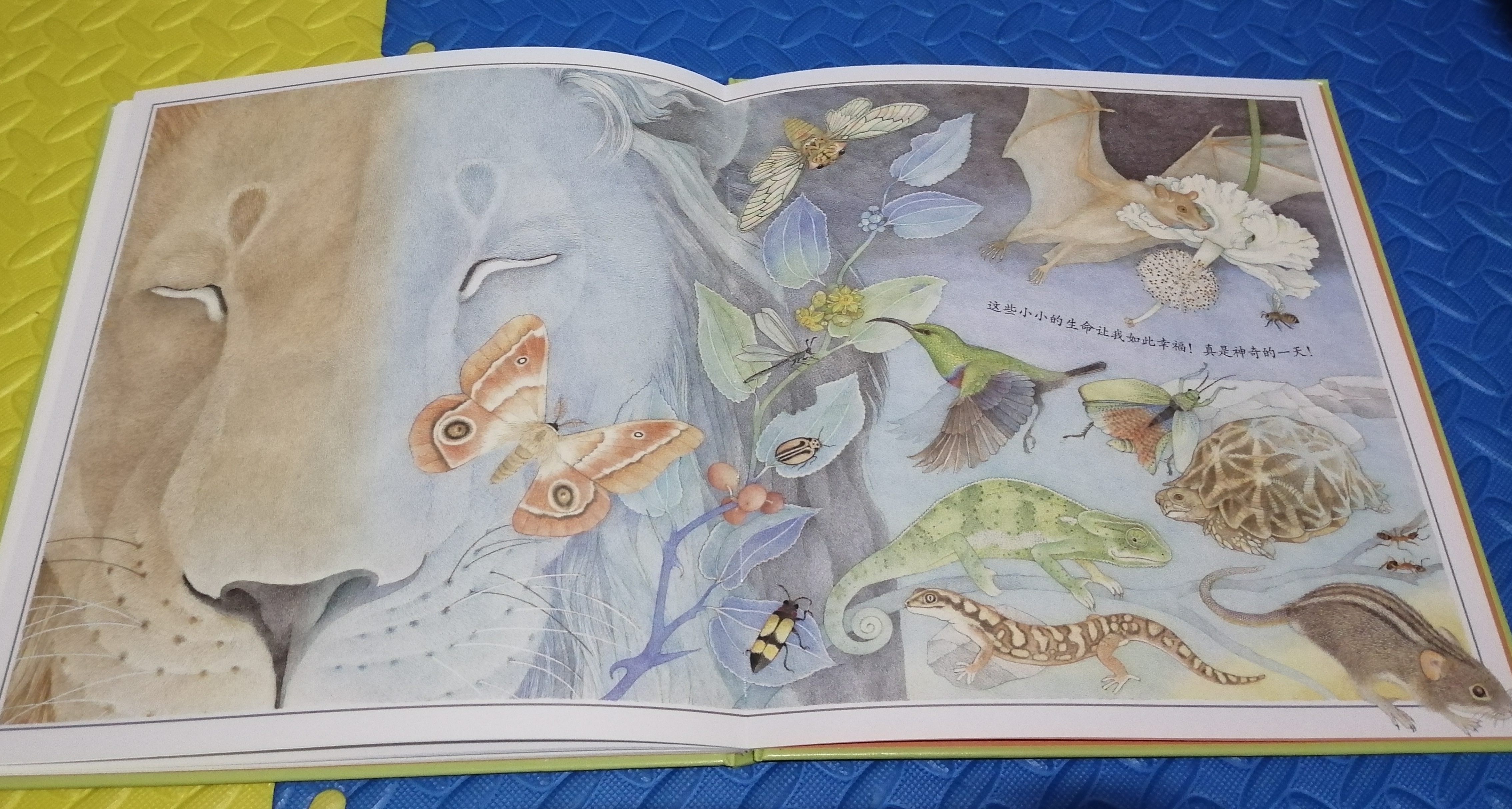 凯迪克奖作品,凯迪克金奖经典作品