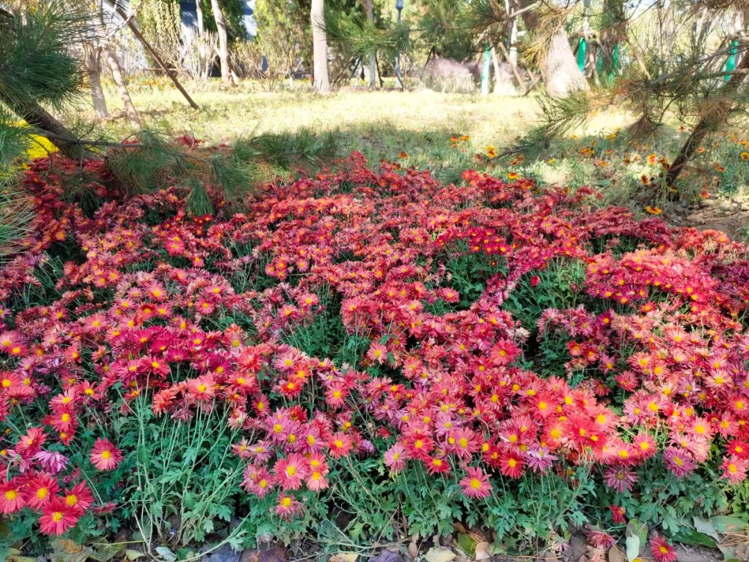 天坛附近公园有哪些,天坛公园周边有什么可逛的