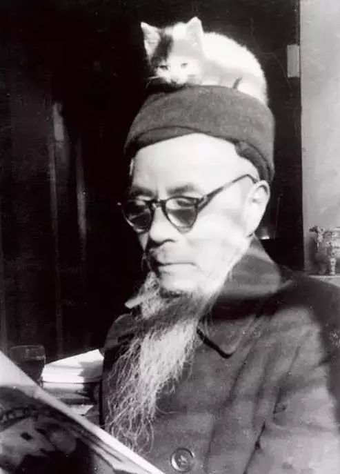 钱钟书和林徽因的护猫之战 (钱钟书的猫跟谁的猫打过架)