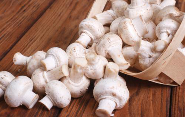 被上帝认为不洁的蘑菇,凭什么能“纵横”于神州大地