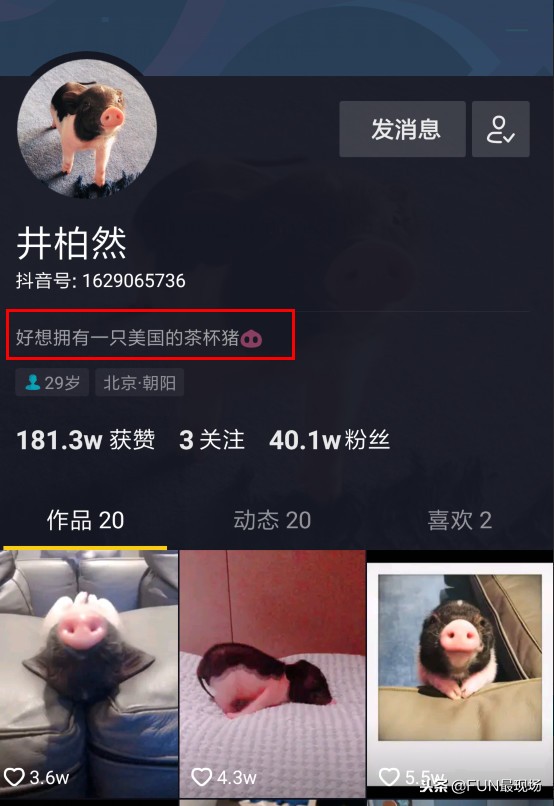 井柏然抖音小猪,井柏然给白敬亭送小猪佩奇