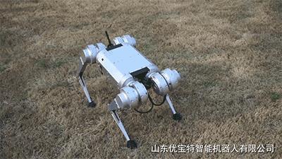 高端智能机器狗,wavego仿生机器狗