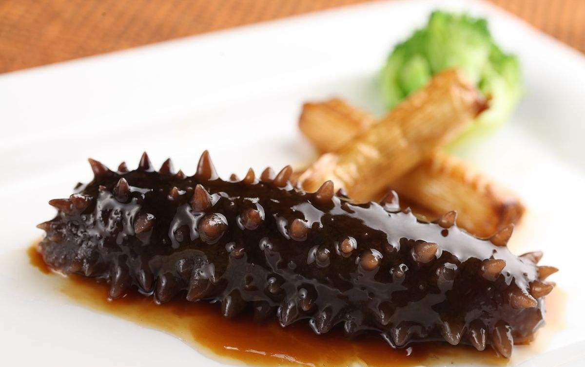 鲜海参的简单最佳吃法和做法,发好的海参怎么吃既简单又好吃