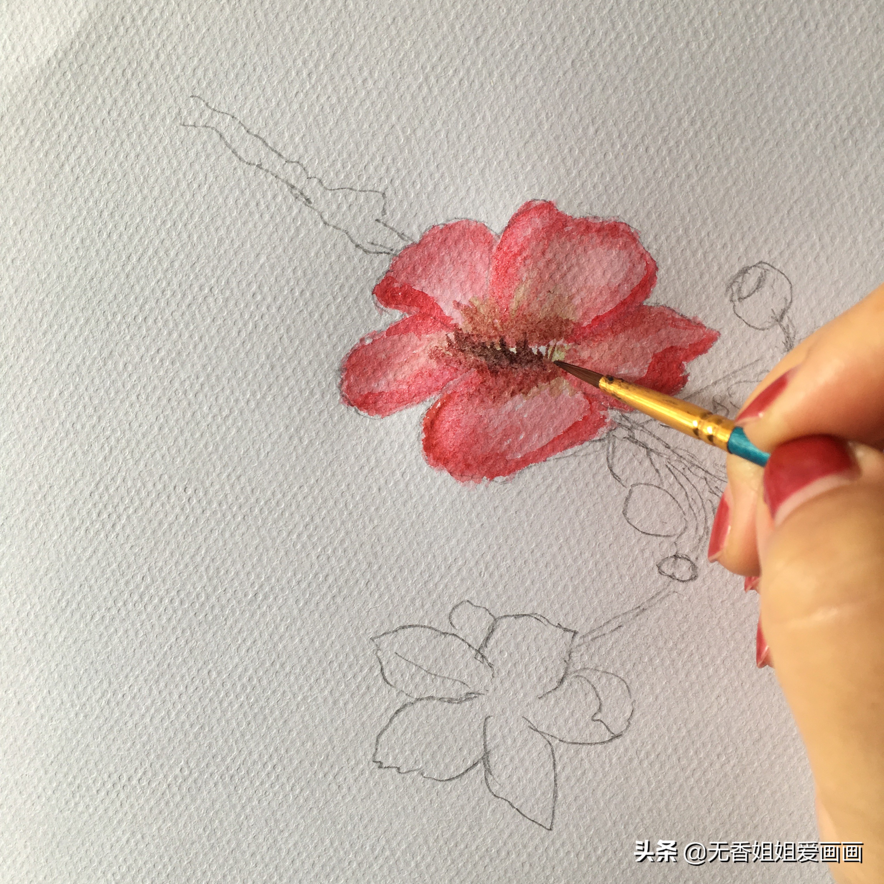 手绘桃花图片小学,马克笔手绘教程桃花