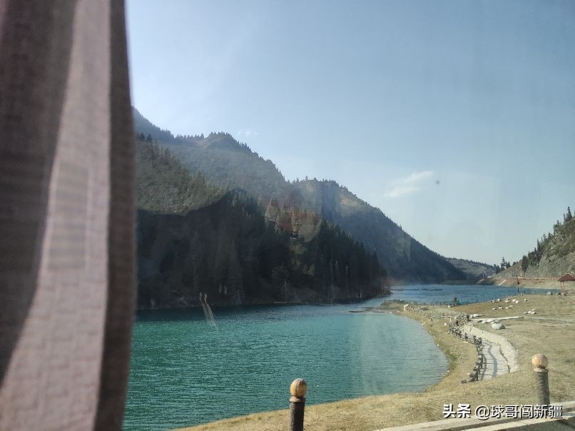 新疆棉花涨势,新疆棉花经济热点