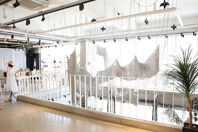 打HPV、考国际驾照、当练习生、看演唱会、泡夜店，这才是首尔