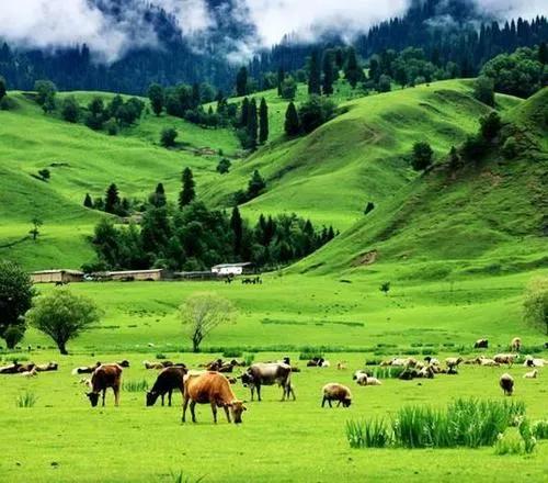 阿根廷绝美照片,阿根廷风情图