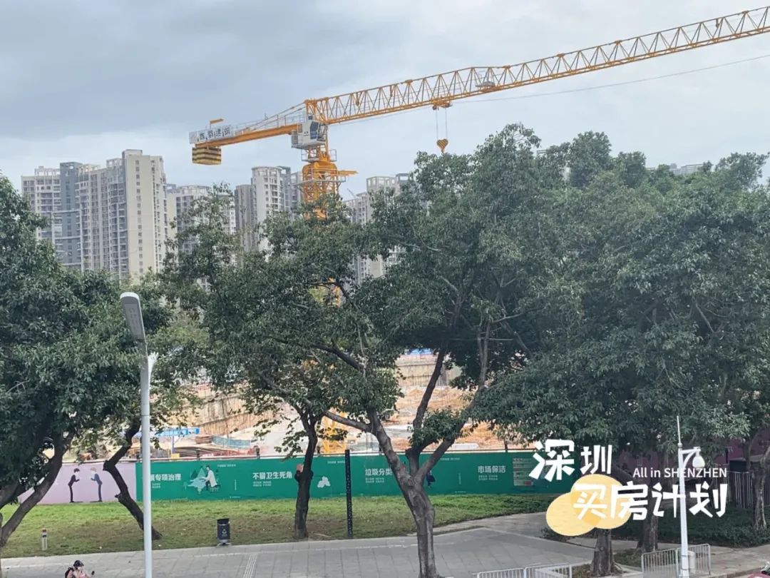 撸完宝安18个新盘！打地鼠式打新来了，你准备pick谁？