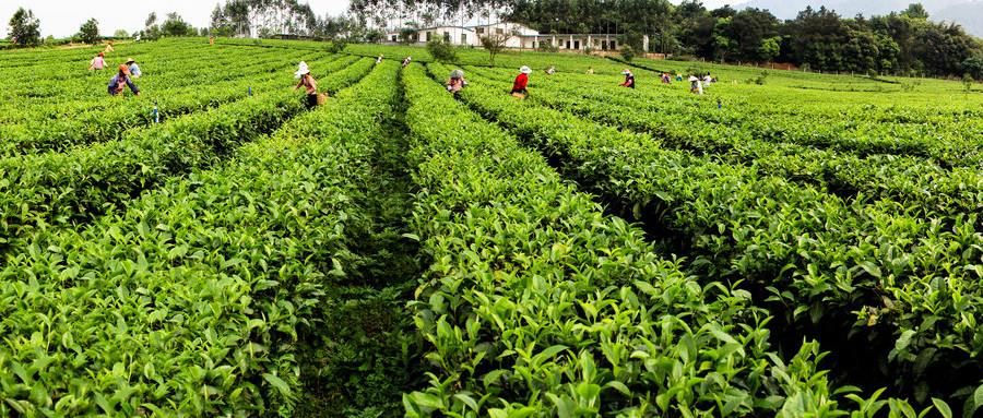 军官证去景区会留记录吗,军官证免票会查真假吗