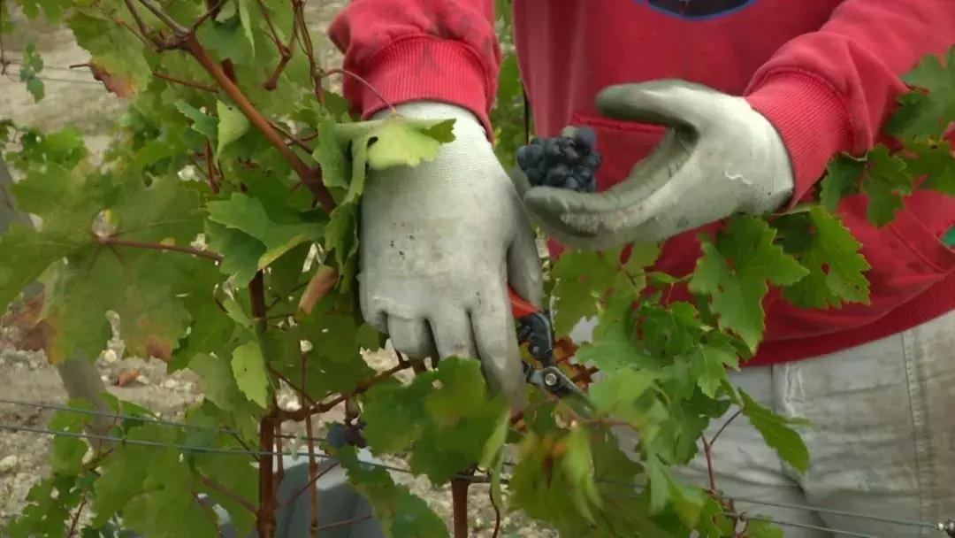 法国风情美景,品味纯正法国风情