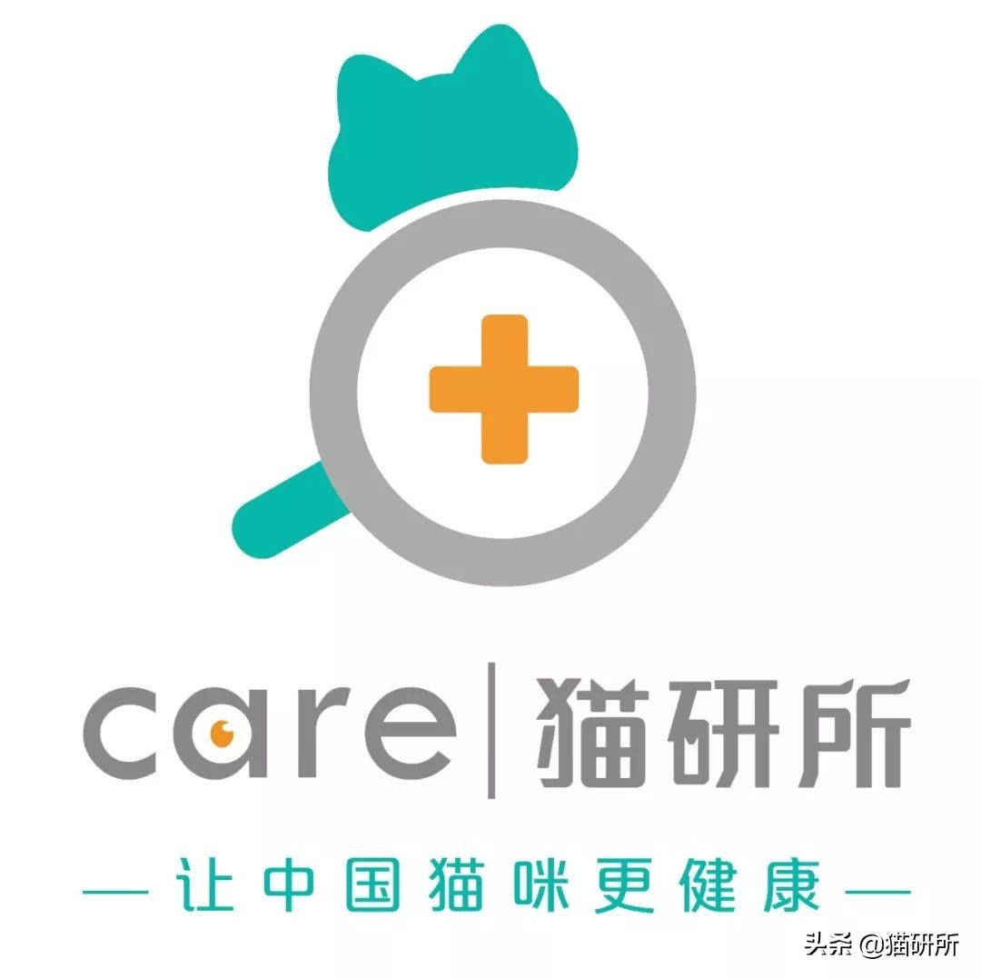 失明猫咪康复治疗,失明猫咪怎么照顾