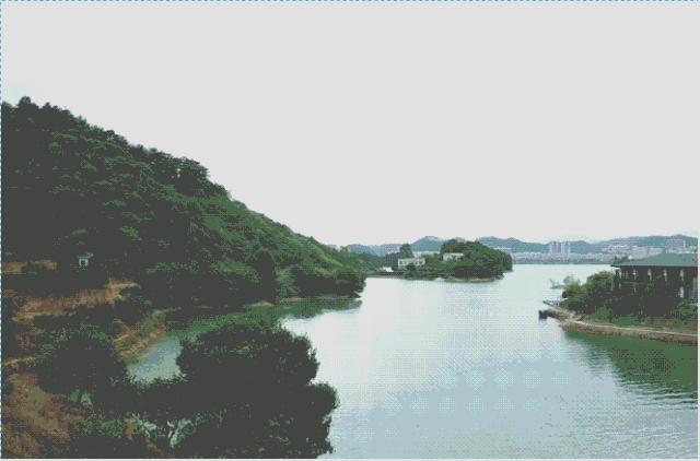 40岁大叔钓鱼,40岁大叔买下一座岛