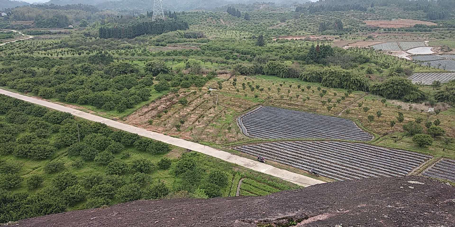复读生自传怎么写,复读生的自传感言