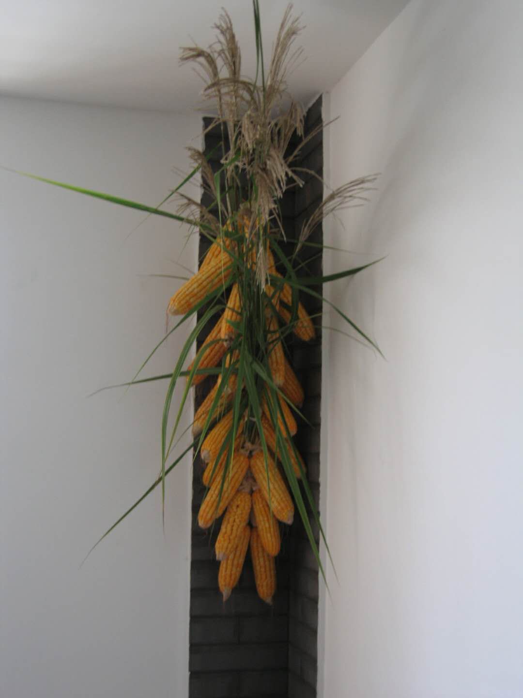 我爱我家之露台花园全景,我爱我家之乡土篇