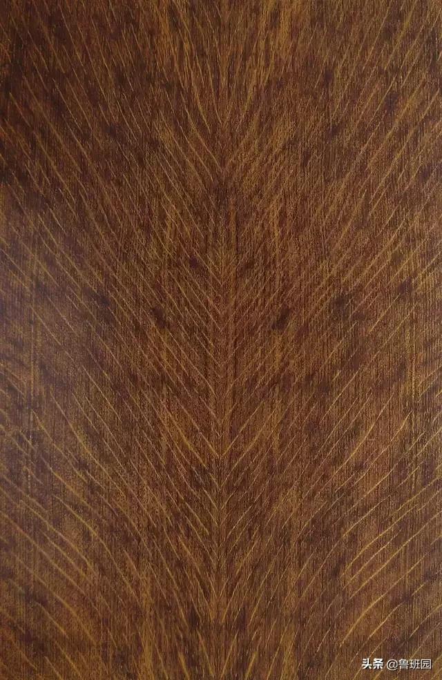 装饰材料木皮有哪些,装饰木皮有哪几种