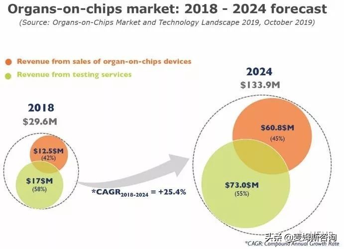 器官芯片是什么 (智能器官芯片现状)
