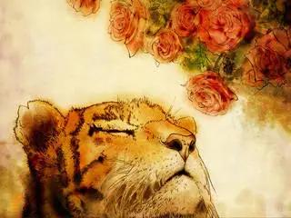 牟其中年轻时的视频,牟其中80年代身价