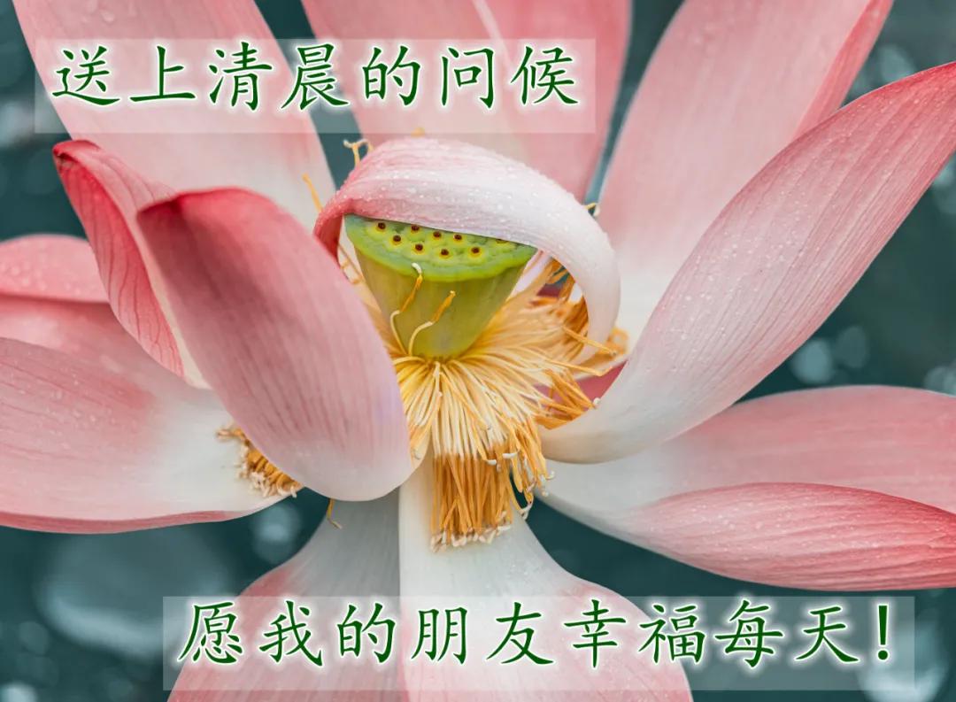 早安佛祖祝福带字美图,最新早安带字祝福图片