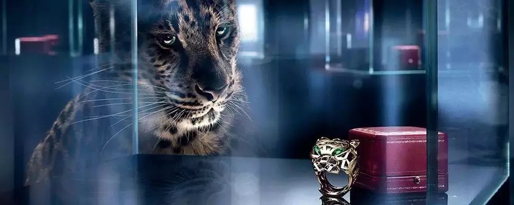 香港打卡暴走攻略,香港购物路线攻略2018