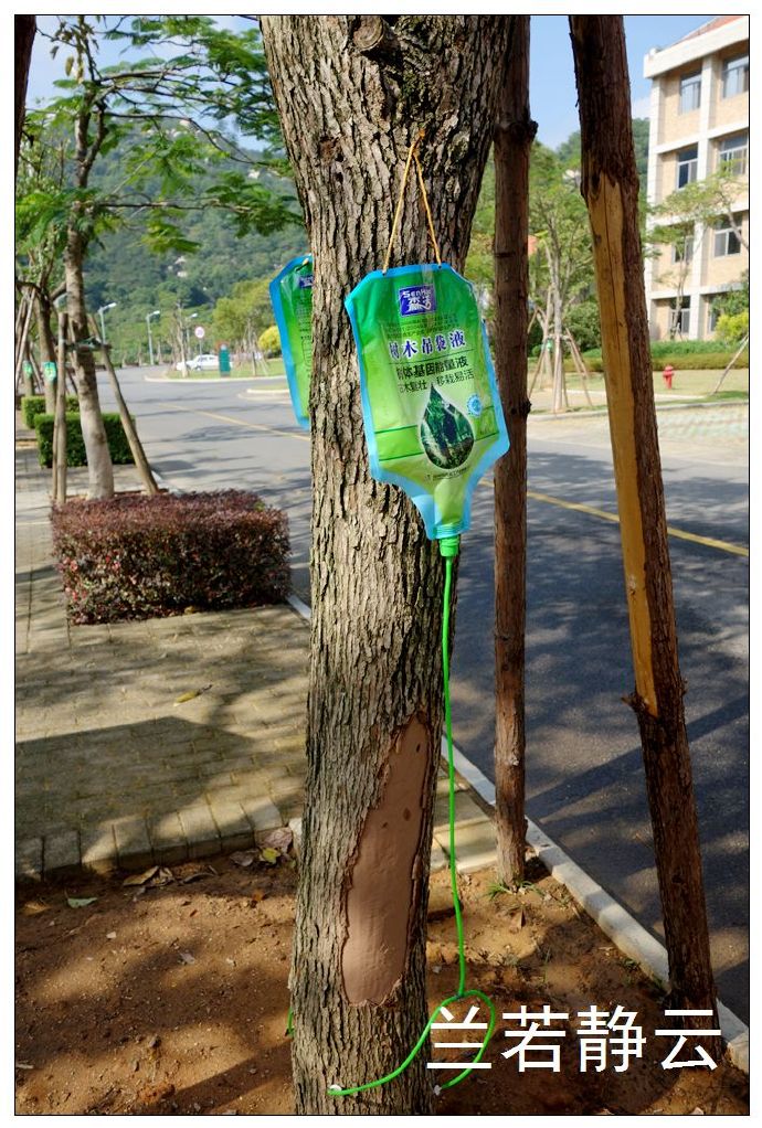 厦门国家会计学院校园,厦门国家会计学院漂亮吗