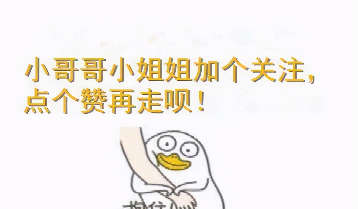 猫难养吗,猫难养么