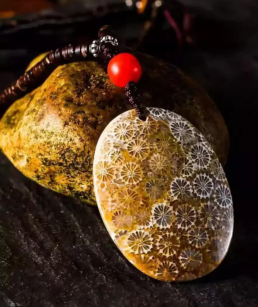 珊瑚玉怎么养是最好的,什么样的珊瑚玉是最好的