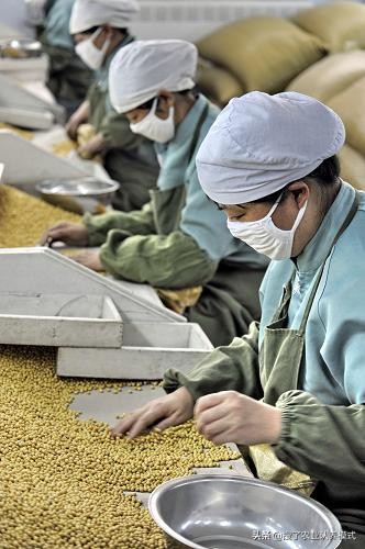 2019年农村创业新商机,农村创业商机排行榜最新