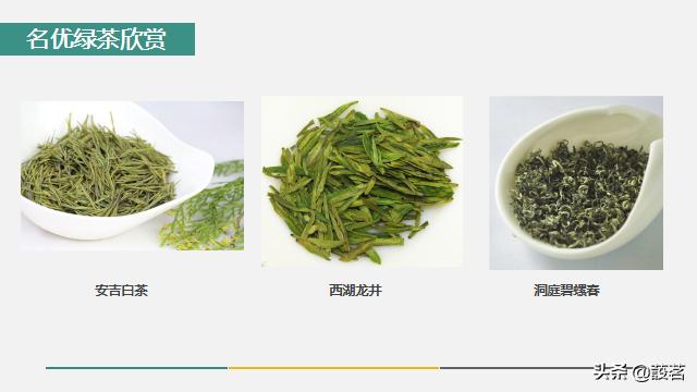 茶叶知识零基础入门手册书电子版,茶叶基础知识讲解课件视频