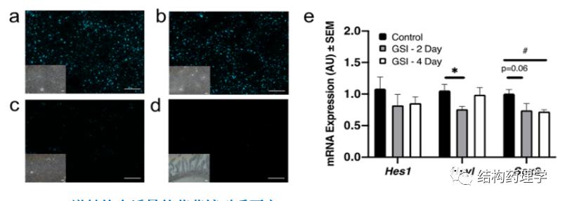靶向药会引起血糖酮症酸中毒吗,靶向药物parp抑制剂