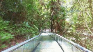 昆明周边游玩元旦景点推荐,元旦昆明周边游玩景点推荐