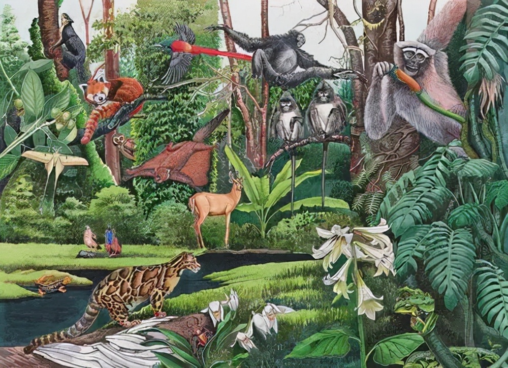 人们应该做什么来保护生物多样性,人类自身应该如何保护生物多样性