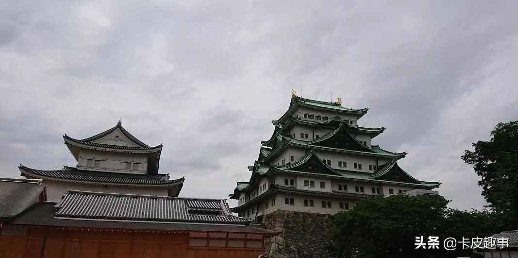 五一去日本看樱花,五一假期日本