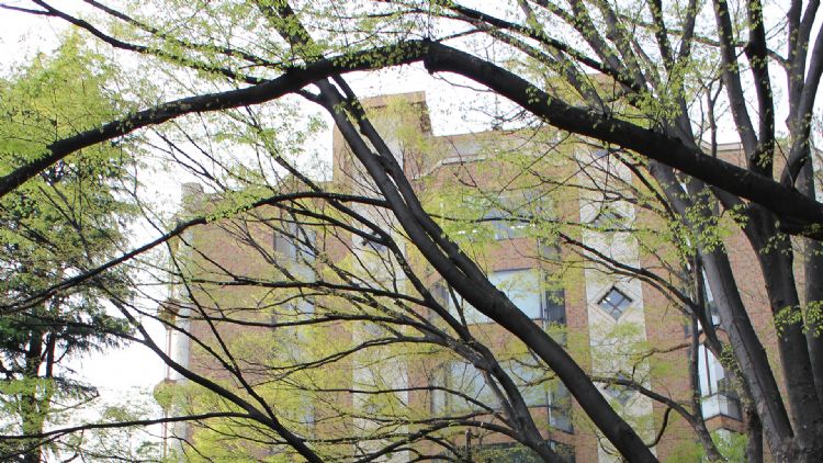 日本帝国大学真实水平,日本帝国的大学