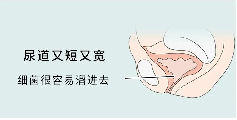 没夫妻生活，怎么就得了妇科病了？