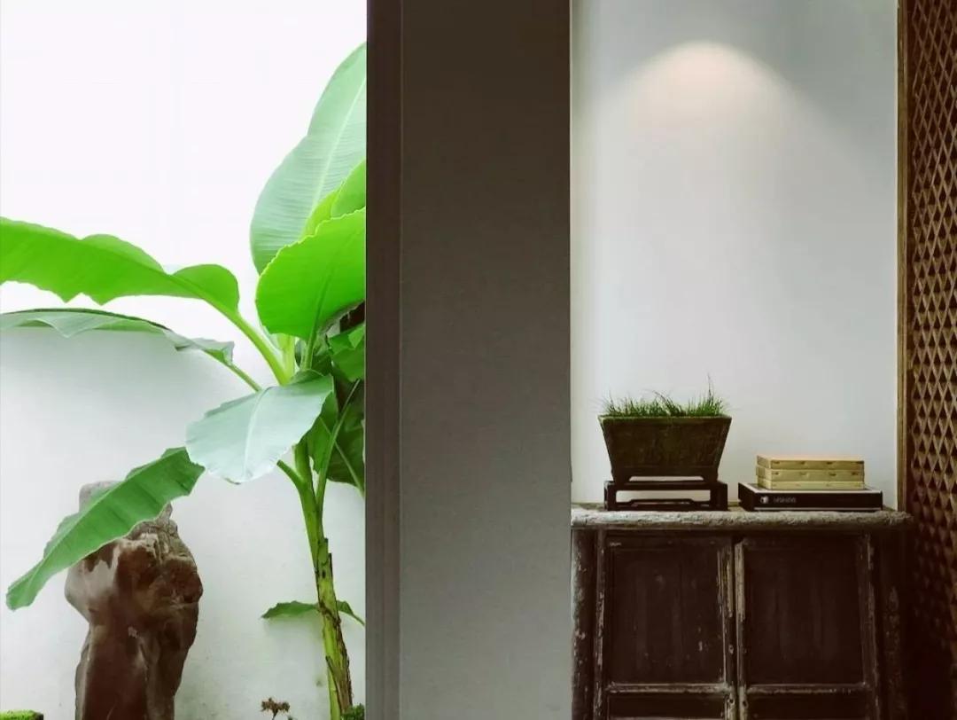 烟雨江湖中的苏式园林,藏在闹市里的江南园林