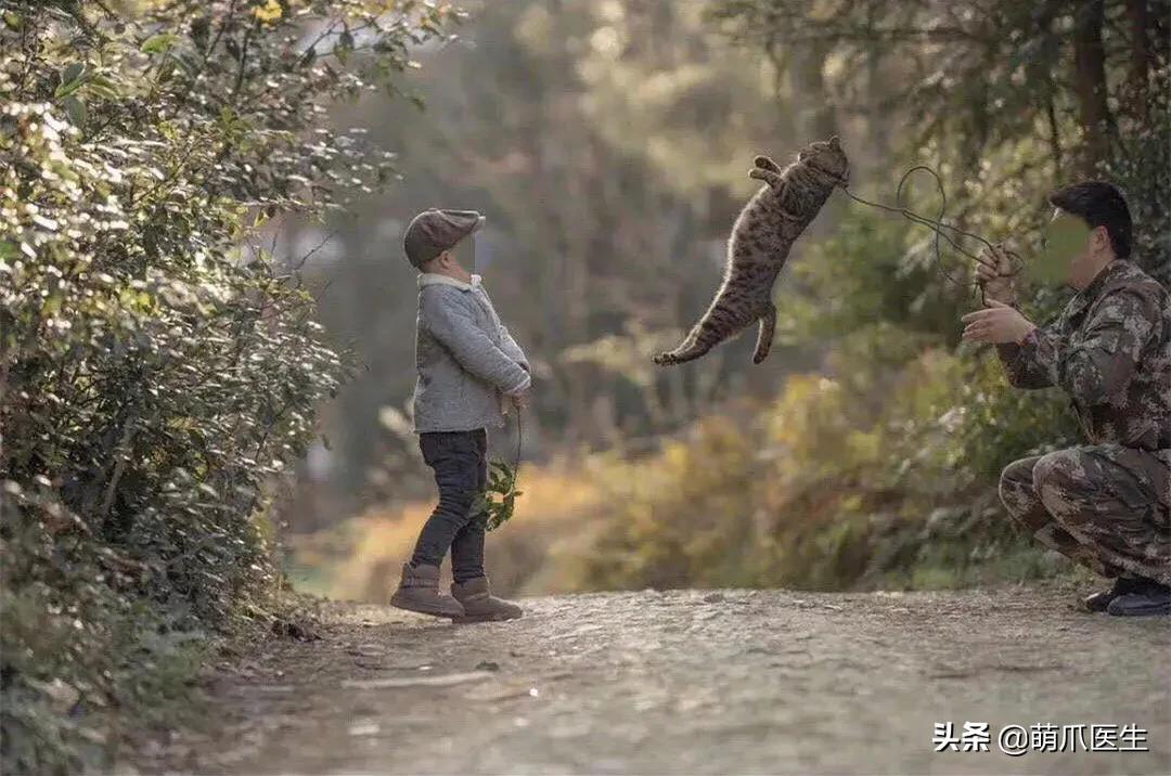 真正的摄影艺术，不是把猫绑在绳子上扔着飞起来