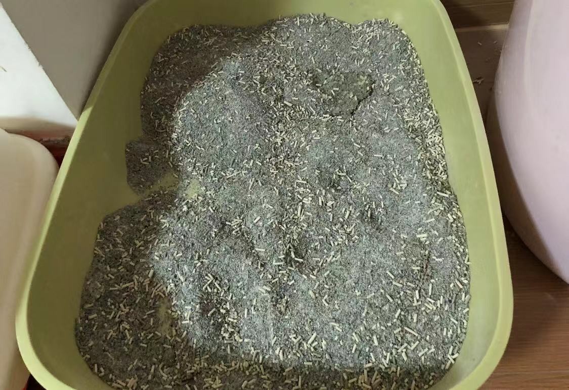猫咪吃猫饭便便不臭,你家猫拉屎有多臭