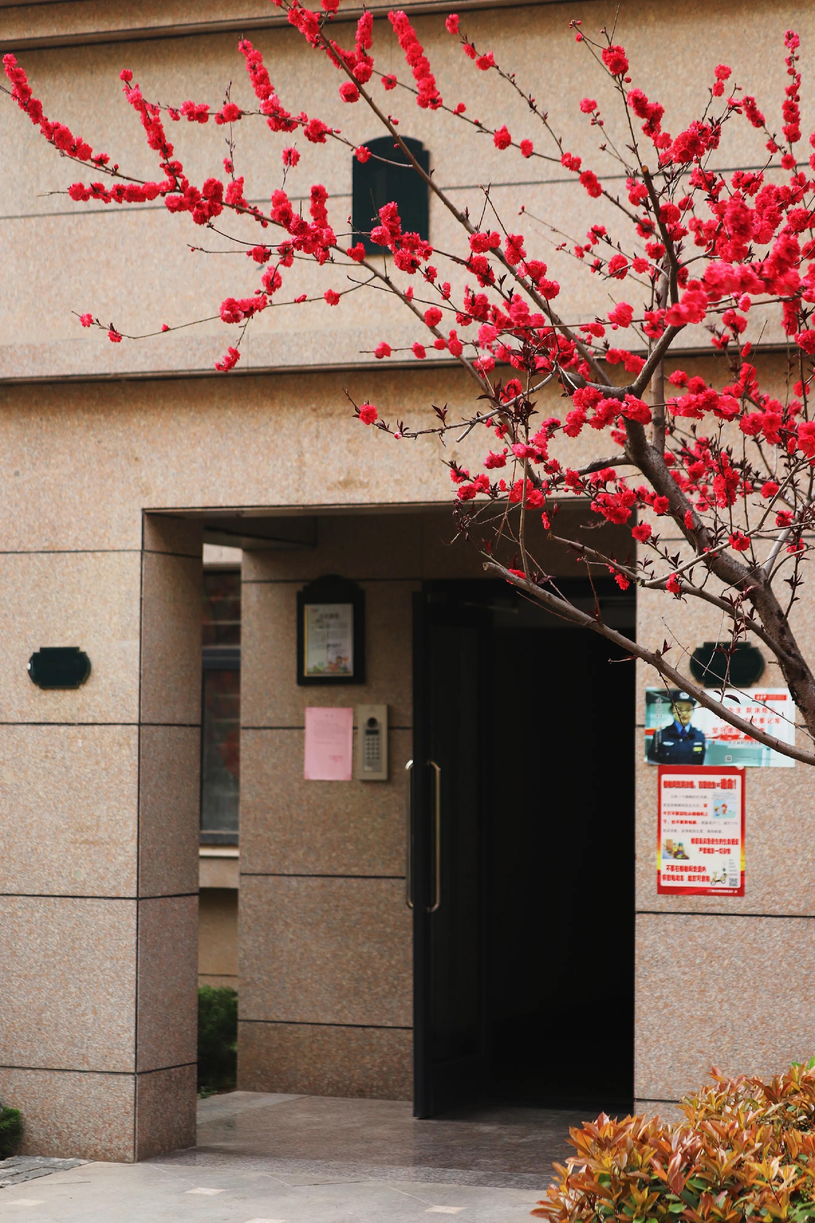 骏景花园116平米,骏景花园小区效果图