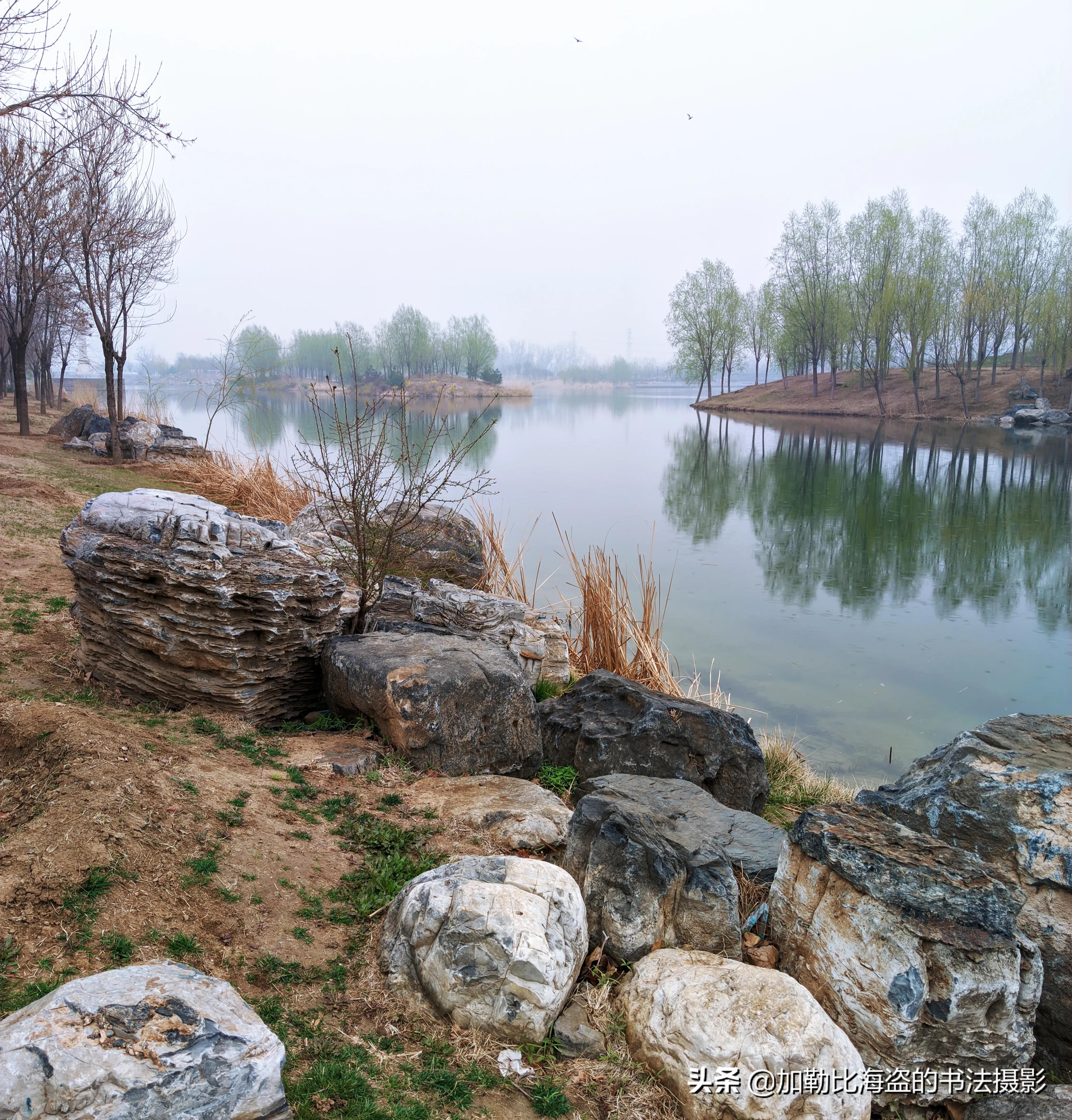 如何在公园里拍出氛围感照片,公园摄影怎么拍出高级感