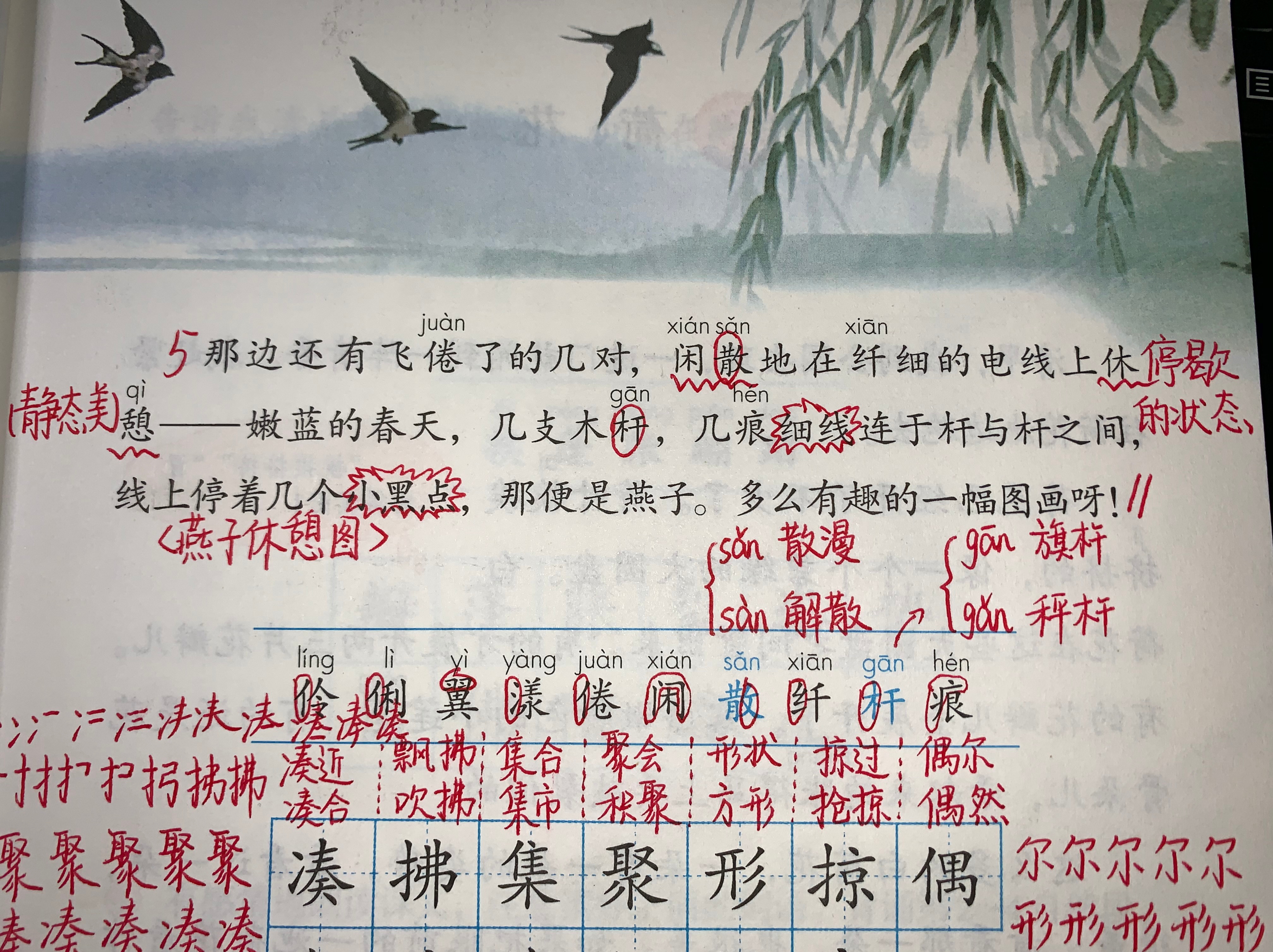 三年级语文燕子复习,三年级语文下册燕子老师整理笔记